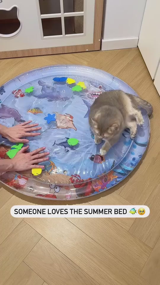 Pet Water Sensory Play Mat